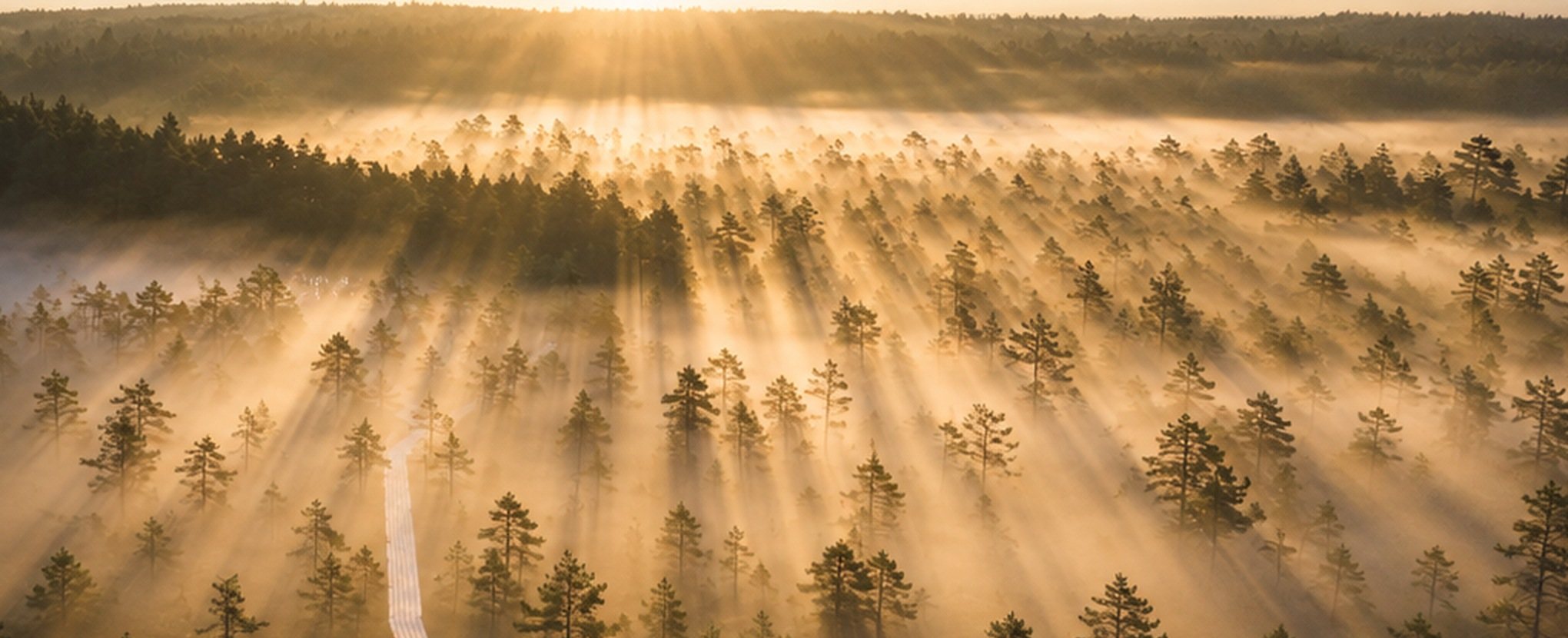 Udune Eesti rabamets päikesetõusul